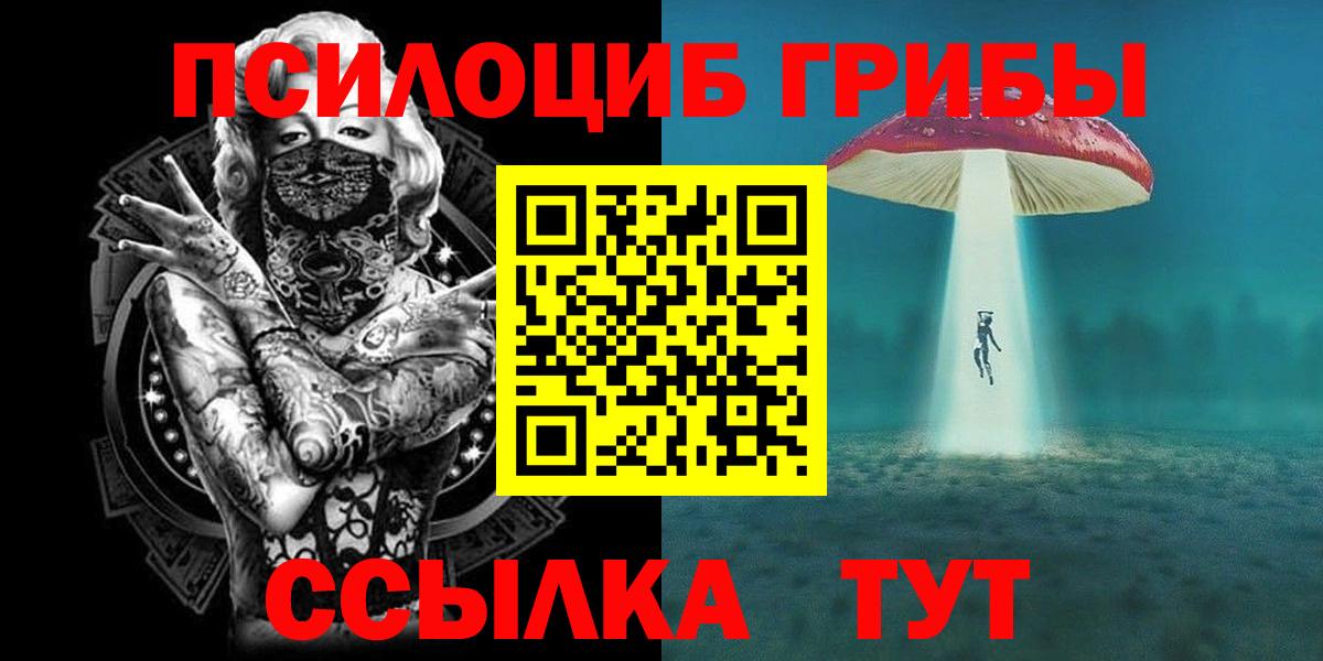 Псилоцибиновые грибы Psilocybine cubensis Ступино
